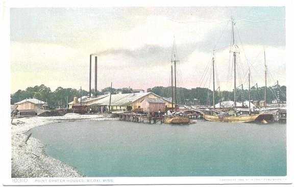 Oyster Postcard